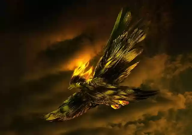 Free download Bird Fantasy Sky -  free illustration to be edited with GIMP free online image editor