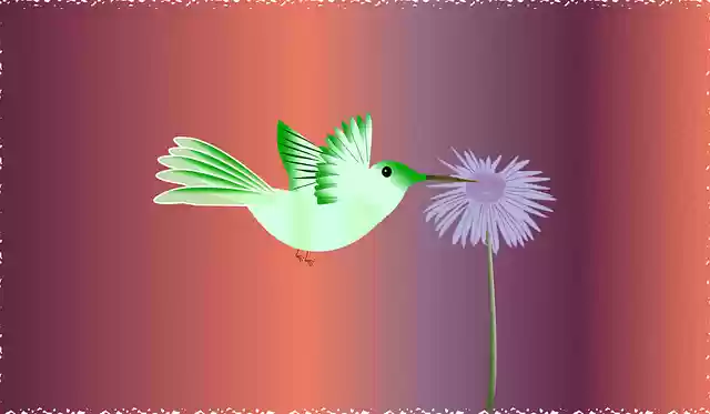 Free download Bird Flower Nature - Free vector graphic on Pixabay free illustration to be edited with GIMP free online image editor