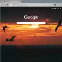 BirdFly Browser Theme  screen for extension Chrome web store in OffiDocs Chromium