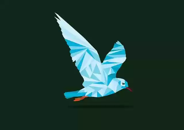 Free download Bird Fly Wing -  free illustration to be edited with GIMP free online image editor