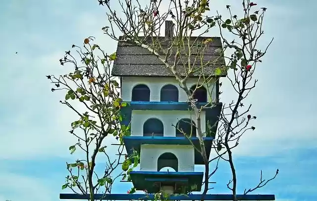 Free download Birdhouse Garden Colored -  free photo or picture to be edited with GIMP online image editor
