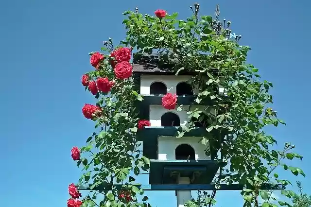 Free download Birdhouse Garden Decoration -  free photo or picture to be edited with GIMP online image editor