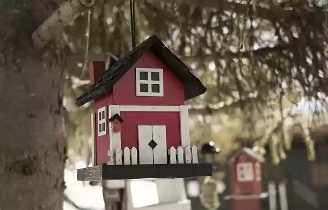 Free download Bird House Tree Nature -  free photo or picture to be edited with GIMP online image editor