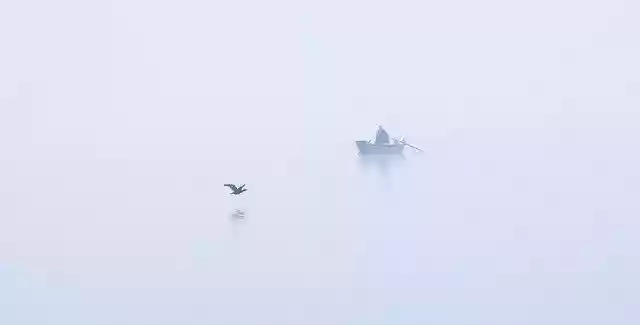 Free download Bird Lake Boat -  free free photo or picture to be edited with GIMP online image editor
