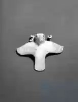 Free download Bird of prey free photo or picture to be edited with GIMP online image editor