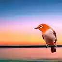 Bird on the wire  screen for extension Chrome web store in OffiDocs Chromium