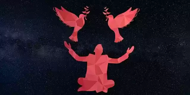 Free download Bird Pigeons Man -  free illustration to be edited with GIMP free online image editor