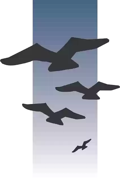 Free download Birds Flying Silhouettes - Free vector graphic on Pixabay free illustration to be edited with GIMP free online image editor