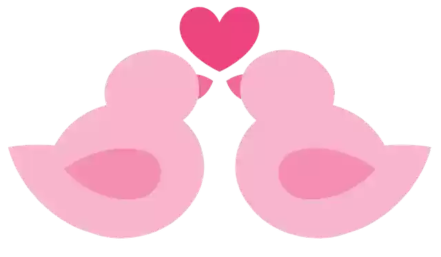 Free download Birds In Love Marriage -  free illustration to be edited with GIMP free online image editor