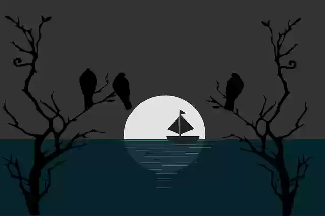 Free download Birds Moon Moonlight -  free illustration to be edited with GIMP free online image editor