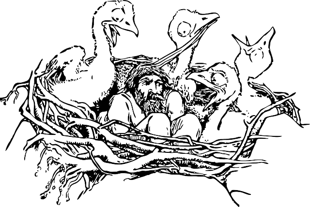 Free download Birds Nesting Baby - Free vector graphic on Pixabay free illustration to be edited with GIMP free online image editor