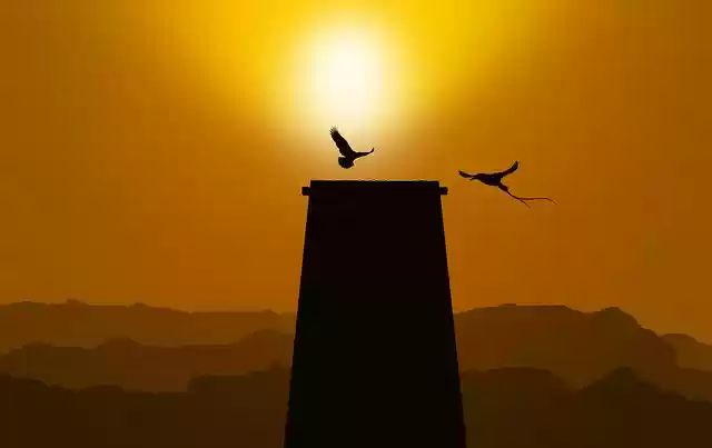 Free download birds tower sunset sunlight free picture to be edited with GIMP free online image editor