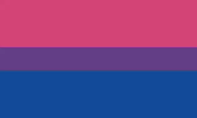 Free download Bisexual Sexuality Flag -  free illustration to be edited with GIMP free online image editor