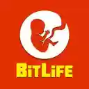 BitLife  screen for extension Chrome web store in OffiDocs Chromium