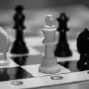 Black and White Chess Pieces  screen for extension Chrome web store in OffiDocs Chromium
