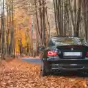 black car and gold leaf  screen for extension Chrome web store in OffiDocs Chromium