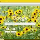 Black eyed Susan  screen for extension Chrome web store in OffiDocs Chromium