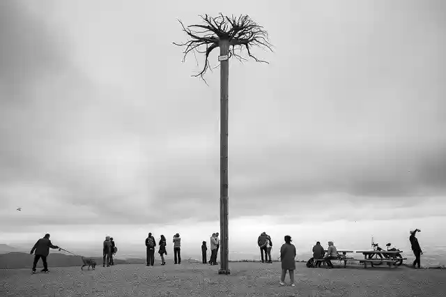 Free download Black Forest Mummelsee Alone -  free photo or picture to be edited with GIMP online image editor