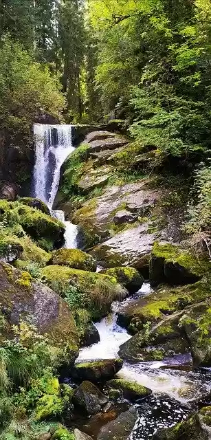 Free download Black Forest Triberg Waterfall -  free photo or picture to be edited with GIMP online image editor