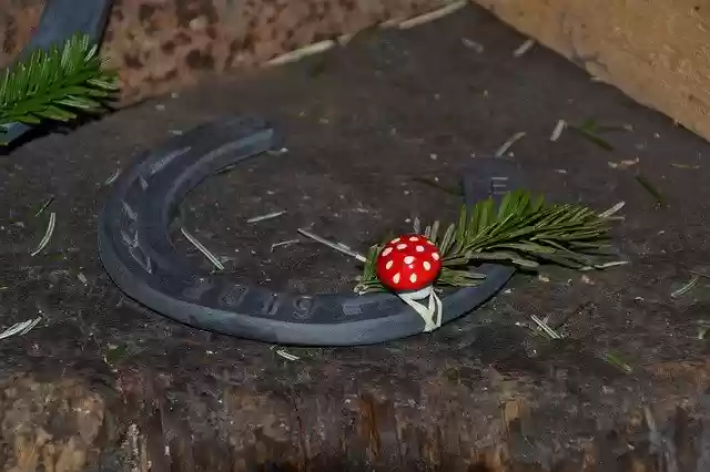 Free download Blacksmith Horseshoe Anvil -  free free photo or picture to be edited with GIMP online image editor