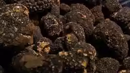 Free download Blacks Truffles Langhe Dawn -  free video to be edited with OpenShot online video editor