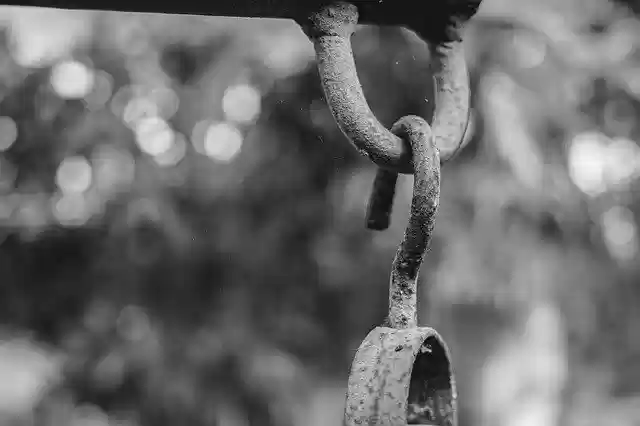 Free download Black White Photo -  free photo or picture to be edited with GIMP online image editor