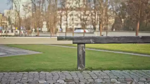 Free download Black White Tree -  free free photo or picture to be edited with GIMP online image editor