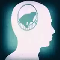 Free download BLISSFUL IGNORANCE free photo or picture to be edited with GIMP online image editor