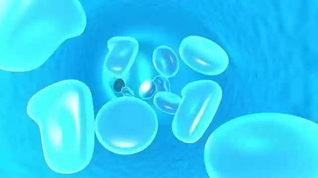 Free download Blood Cells Biology -  free illustration to be edited with GIMP free online image editor