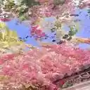 blooming paper flower wallpaper  screen for extension Chrome web store in OffiDocs Chromium
