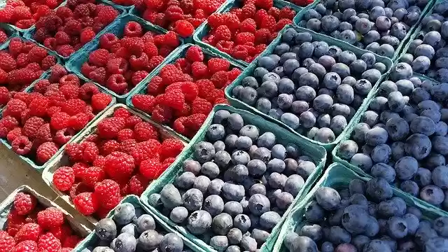Free download Blueberries Blueberry Fruit free photo template to be edited with GIMP online image editor