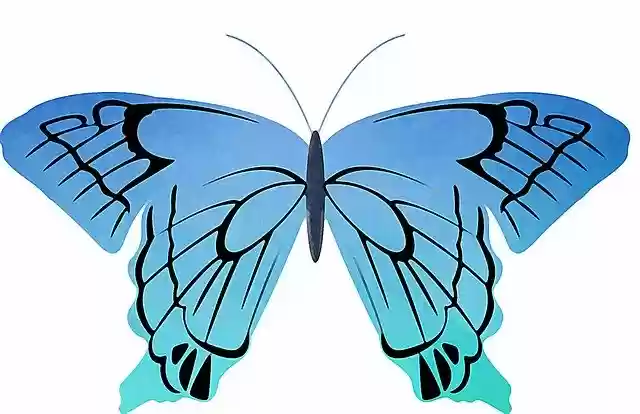 Free download Blue Butterfly Insect -  free illustration to be edited with GIMP free online image editor