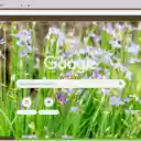 Blue Eyed Grass  screen for extension Chrome web store in OffiDocs Chromium