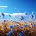 Blue grass field wallpaper  screen for extension Chrome web store in OffiDocs Chromium