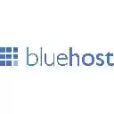 Bluehost Promo Code  Coupons  screen for extension Chrome web store in OffiDocs Chromium