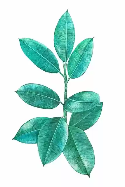 Free download Blue Leaves Decorative -  free illustration to be edited with GIMP free online image editor