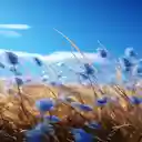 Blue reed grass field wallpaper  screen for extension Chrome web store in OffiDocs Chromium