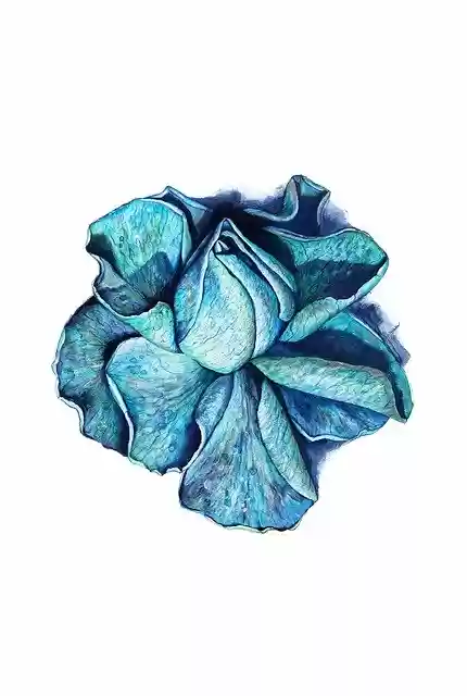 Free download Blue Rose -  free illustration to be edited with GIMP free online image editor