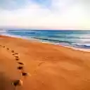 Екран "Синє море та золотий пісок" для розширення інтернет-магазину Chrome в OffiDocs Chromium