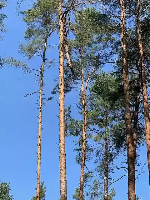 Free download Blue Sky Atmosphere Still -  free photo or picture to be edited with GIMP online image editor