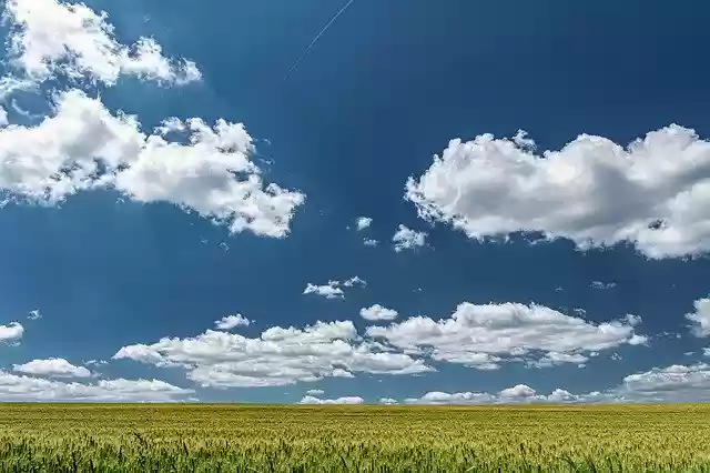 Free download Blue Sky Fields Barley -  free photo or picture to be edited with GIMP online image editor