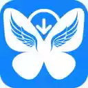 Bluesky Video Downloader Free  screen for extension Chrome web store in OffiDocs Chromium