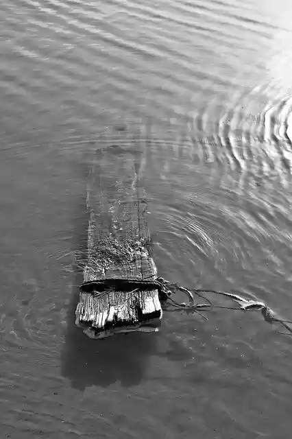 Free download Board Water Black And White -  free photo or picture to be edited with GIMP online image editor