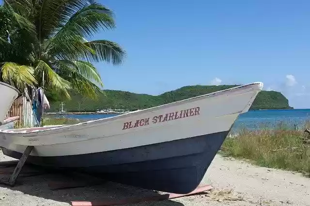 Free download Boat Palm Tree Beach -  free photo or picture to be edited with GIMP online image editor