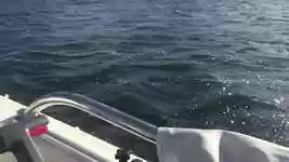 Free download Boat Yamarin Lake -  free video to be edited with OpenShot online video editor