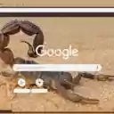 Bo Cap  screen for extension Chrome web store in OffiDocs Chromium