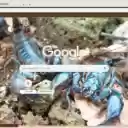 Bo cap xanh  screen for extension Chrome web store in OffiDocs Chromium