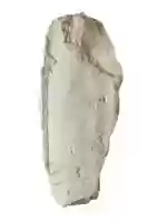 Free download Body (relief ?) free photo or picture to be edited with GIMP online image editor