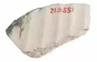 Free download Body with garment, pleating free photo or picture to be edited with GIMP online image editor