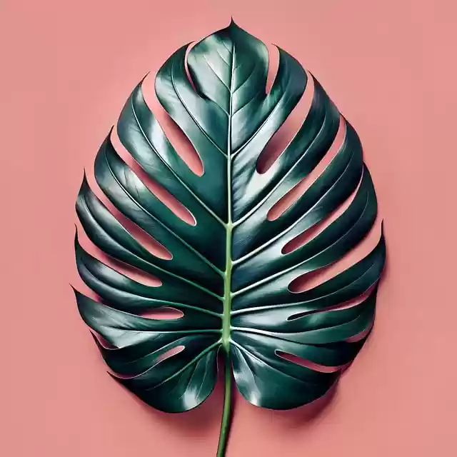Free download bold tropical leaf silhouette free picture to be edited with GIMP free online image editor